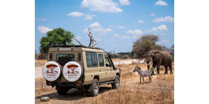 Safari